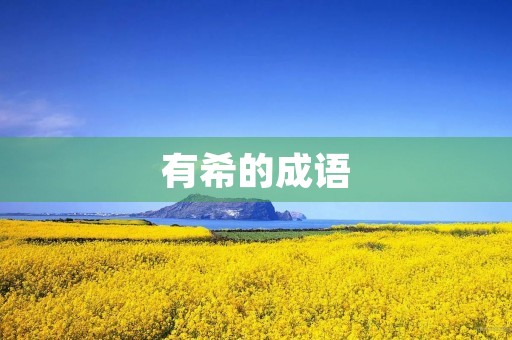 有希的成语