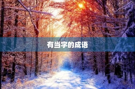 有当字的成语