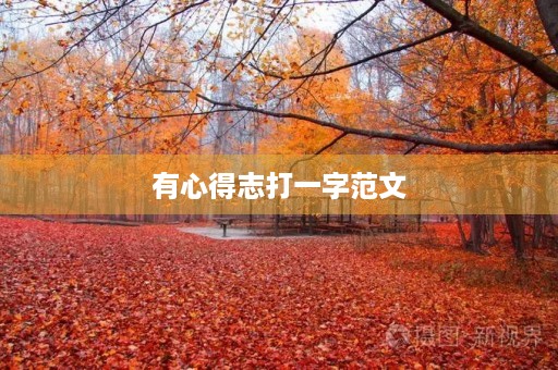 有心得志打一字范文