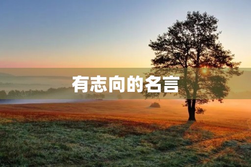 有志向的名言(人要有志向的名言)