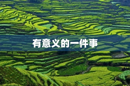 有意义的一件事 有意义的一件事
