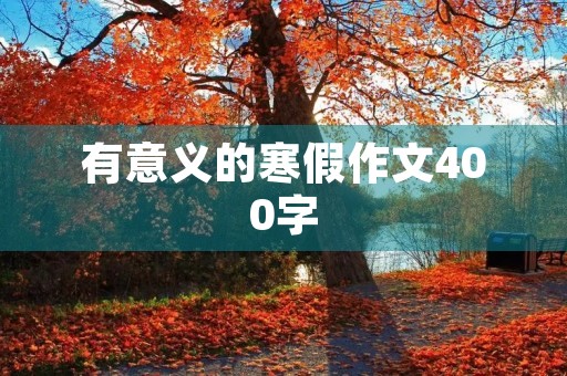 有意义的寒假作文400字