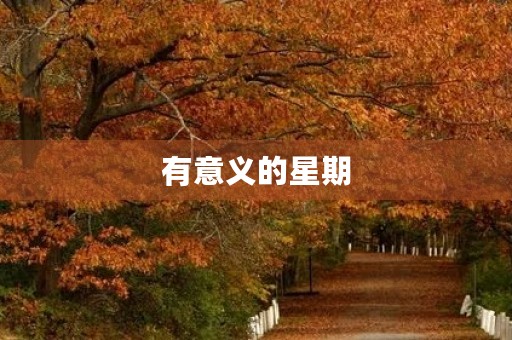 有意义的星期