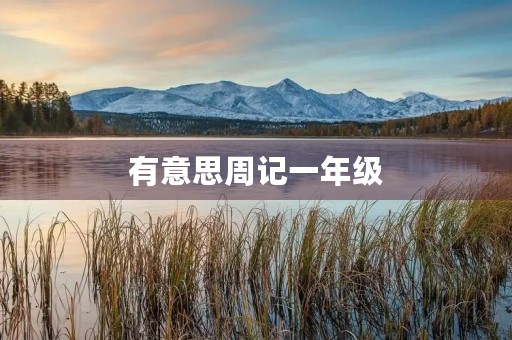 有意思周记一年级 有意思周记一年级