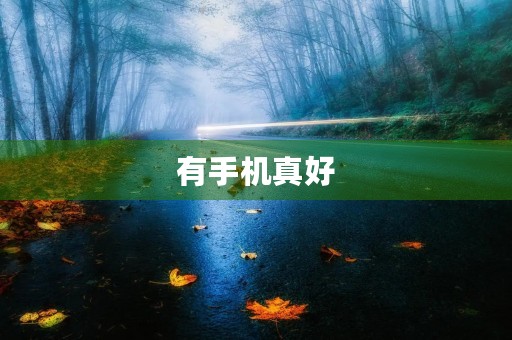 有手机真好 有手机真好