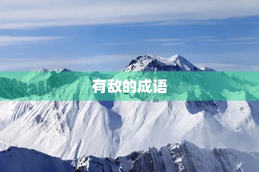 有敌的成语
