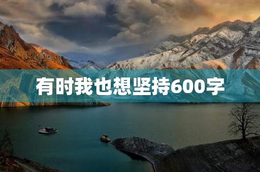 有时我也想坚持600字