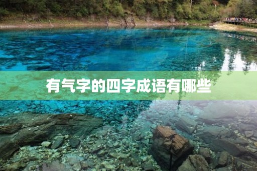 有气字的四字成语有哪些