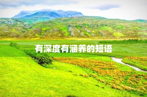 有深度有涵养的短语(有深度有涵养的短语句子)