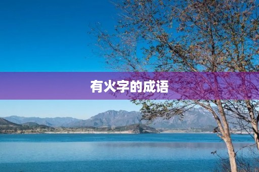 有火字的成语