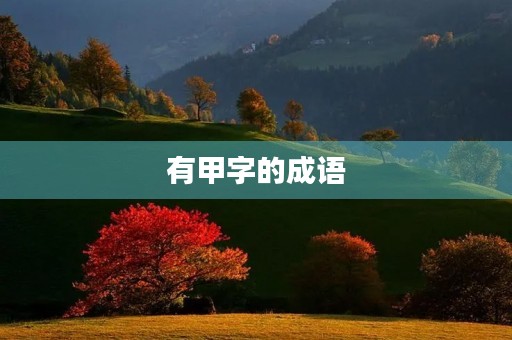 有甲字的成语