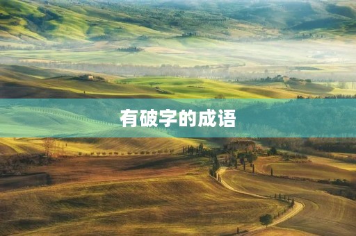 有破字的成语