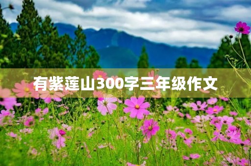 有紫莲山300字三年级作文