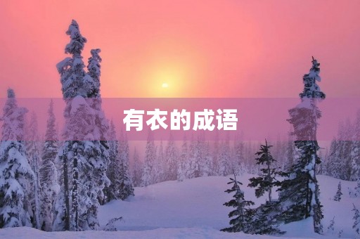 有衣的成语 有衣的成语