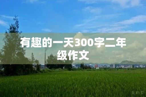 有趣的一天300字二年级作文