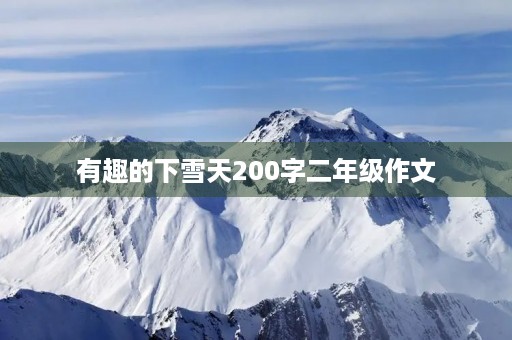 有趣的下雪天200字二年级作文