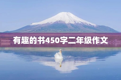 有趣的书450字二年级作文