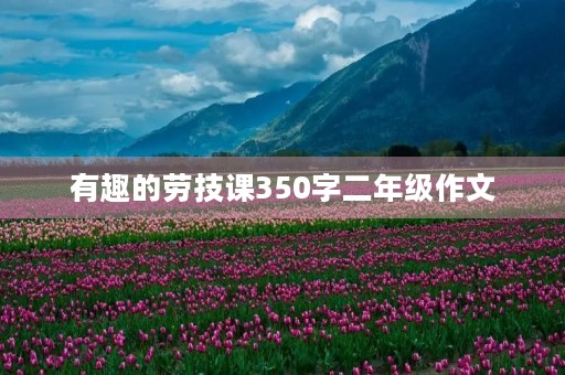 有趣的劳技课350字二年级作文