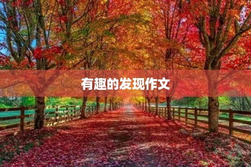 有趣的发现作文