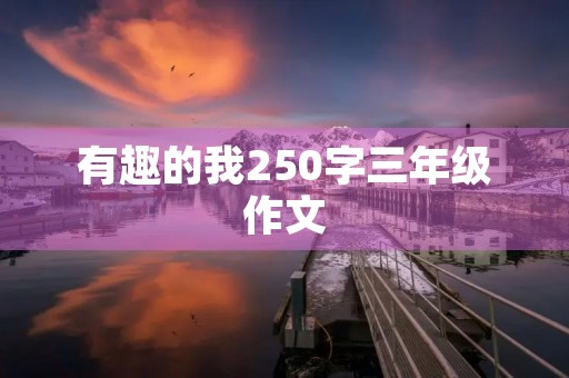 有趣的我250字三年级作文