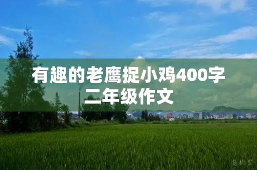 有趣的老鹰捉小鸡400字二年级作文 有趣的老鹰捉小鸡400字二年级作文
