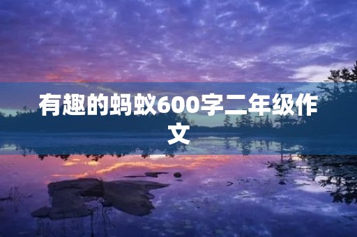 有趣的蚂蚁600字二年级作文