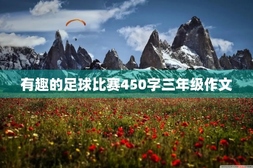 有趣的足球比赛450字三年级作文 有趣的足球比赛450字三年级作文