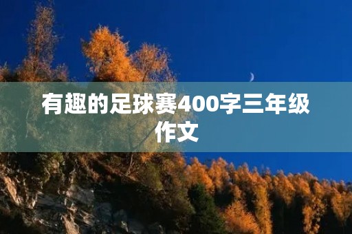 有趣的足球赛400字三年级作文 有趣的足球赛400字三年级作文