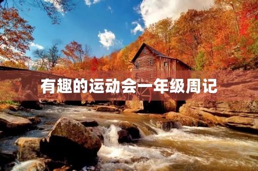 有趣的运动会一年级周记