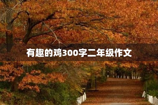 有趣的鸡300字二年级作文