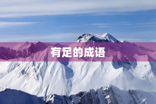 有足的成语 有足的成语
