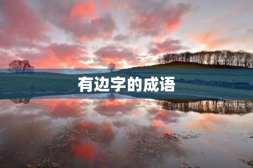 有边字的成语