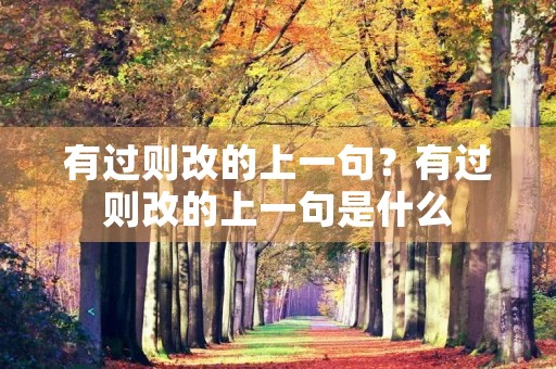 有过则改的上一句？有过则改的上一句是什么