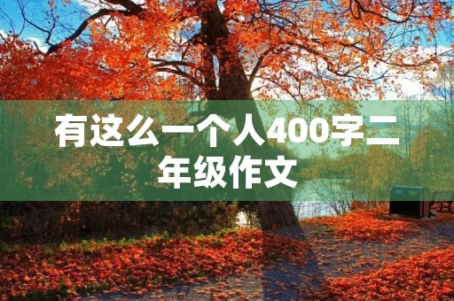 有这么一个人400字二年级作文