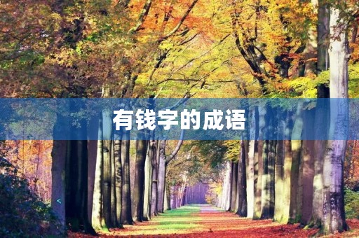 有钱字的成语