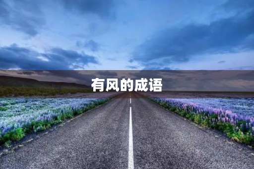 有风的成语
