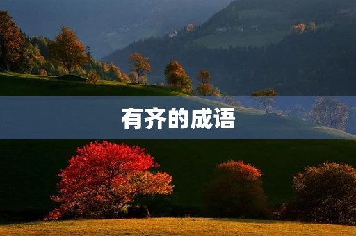 有齐的成语 有齐的成语