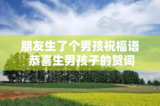 朋友生了个男孩祝福语 恭喜生男孩子的贺词