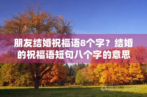 朋友结婚祝福语8个字？结婚的祝福语短句八个字的意思