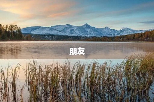 朋友,这份珍贵的财富 朋友,这份珍贵的财富