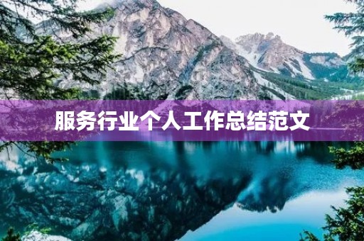 服务行业个人工作总结范文