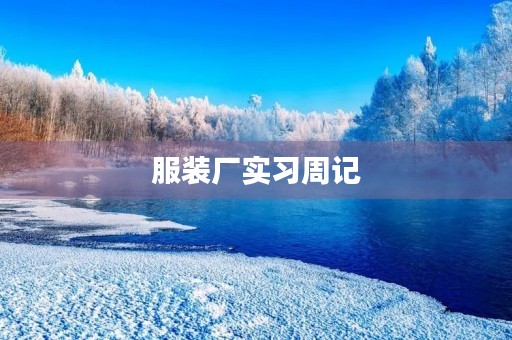 服装厂实习周记