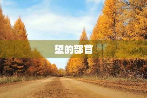 望的部首(望的部首)