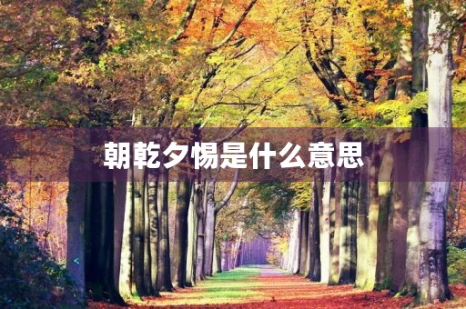 朝乾夕惕是什么意思 朝乾夕惕是什么意思