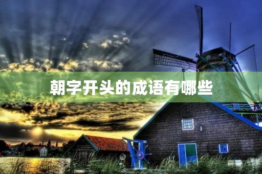 朝字开头的成语有哪些 朝字开头的成语有哪些