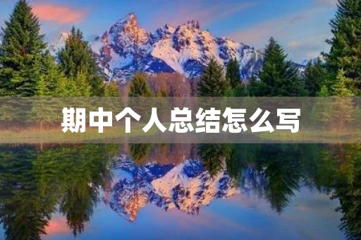 期中个人总结怎么写