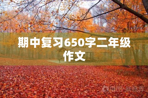 期中复习650字二年级作文
