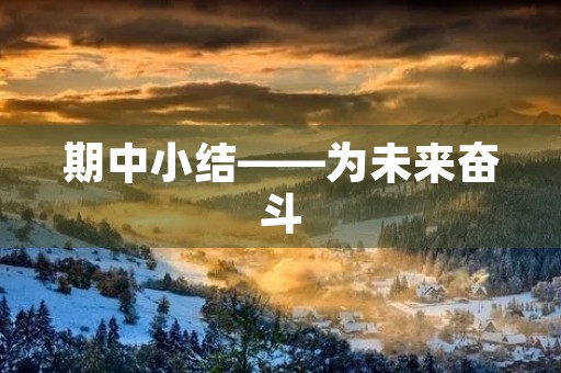 期中小结——为未来奋斗