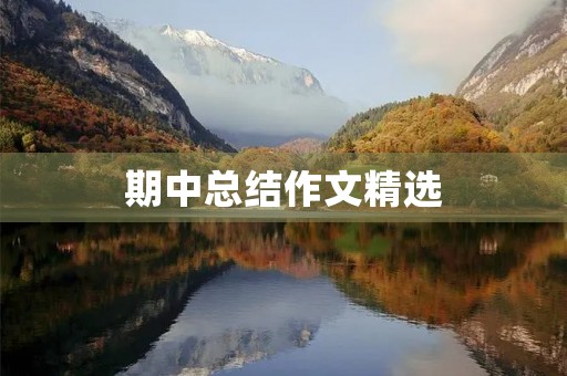 期中总结作文精选