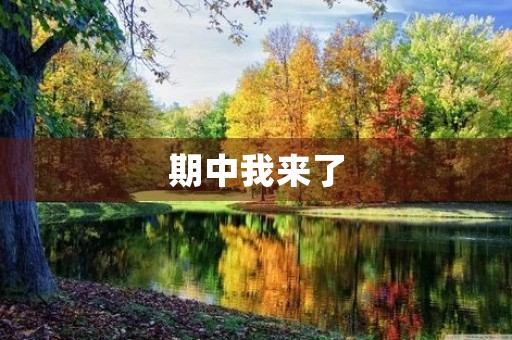 期中我来了 期中我来了